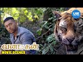Vanamagan movie scenes  tiger saves the tribal man from danger  jayam ravi  sayyeshaa