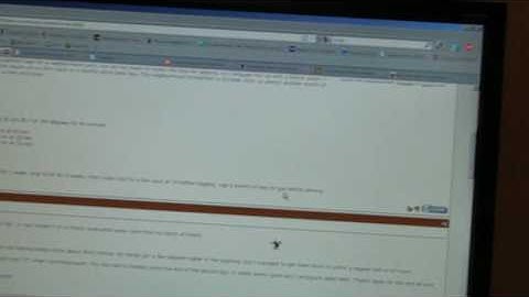 Jumping Spider Chasing Mouse Pointer