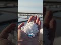 🔥 Kenapa Air Laut Asin? Ternyata Al-Qur&rsquo;an Sudah Menyebutkannya!