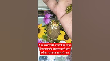 5 मई सोमवार की अष्टमी 9 मई प्रदोष के दिन पार्थिव शिवलिंग बनाने और शमी पत्र चढ़ाने का#trendingshorts🪴