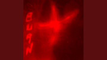 Certificed to Killing