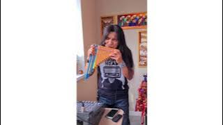 Broken Angel - Ammore_tt (Siku atau Zampona, Alat musik tradisional Peru)