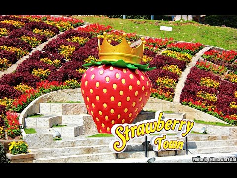 Strawberry Town  Rayong Thailand Part 1