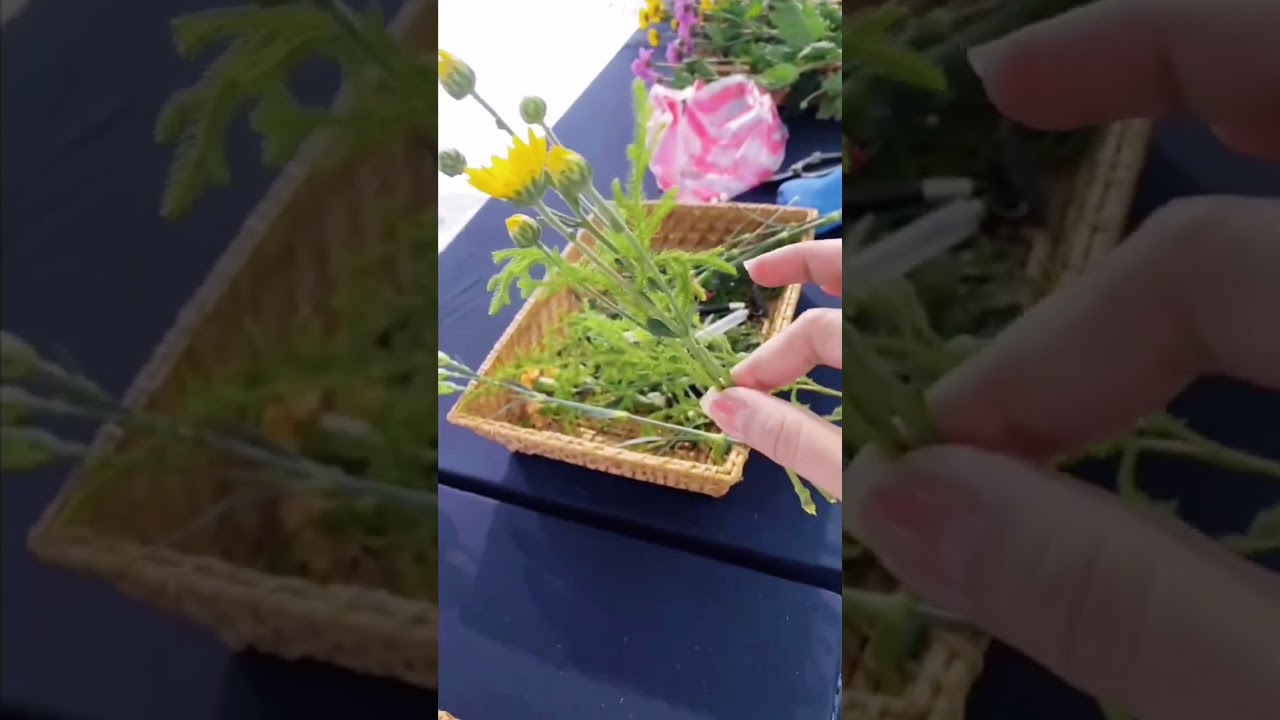 Happy new year~ Being a volunteer for New Year's Eve activities is also a good option.