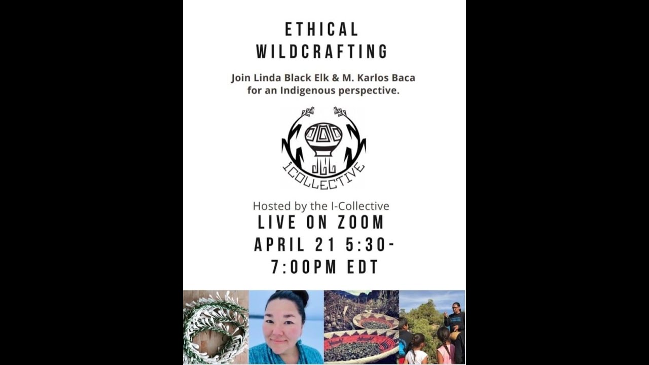 I-Collective Ethical Wildcrafting part 1