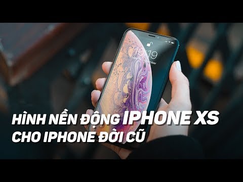 Mang hình nền động của QUẢ THẬN trên iPhone XS lên iPhone đời cũ | Điện Thoại Vui