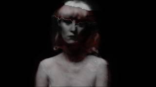 Black Is The Color -  SKYGGE featuring Pete Seeger [Official Music Video]