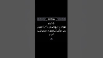 الشيخ ياسر الدوسري سورة الشعراء