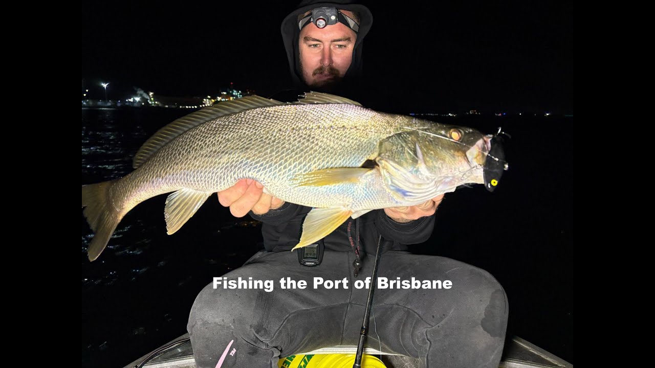 РЫБАЛКА В ПОРТУ БРИСБЕНА! Ловим тунца и еврея. Как нам удалось выловить эту рыбу???