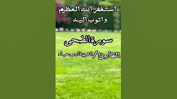 سورة الاضحى (استغفر الله واتوب إليه)