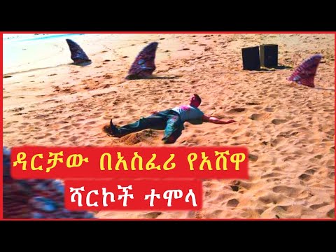 ቪዲዮ: ሻርኮች ከዳይኖሰርስ በፊት እዚህ ነበሩ?