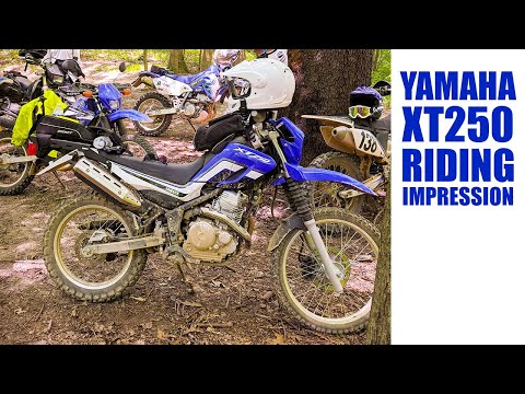 XT250 Quick Riding Impression and comparison to XT225