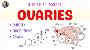 Gonads || Ovaries || B. Sc. and M. Sc. || Zoology