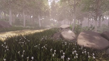 Unity HDRP Nature 1