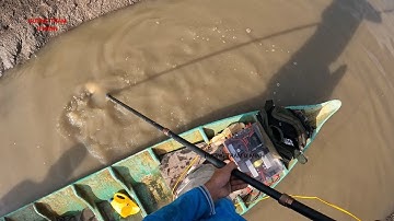 Fishing Fish | Kích Cá Rô Mề Trong Vuông Tôm Phần 1 | Hương Tràm U Minh