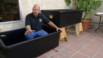 Patio Pond with Bog Filter | Design & Layout - Part 1