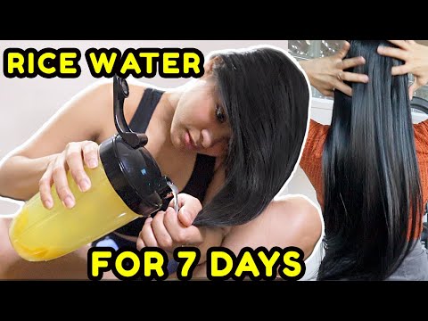 YAO RICE WATER FOR 7 DAYS! Grow the longest hair ever! *before & after results*