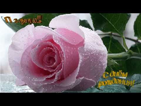 Поздравления С ДНЕМ рождения🌸с днем рождения поздравляю