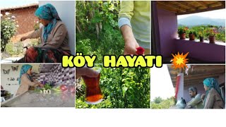 KÖY EVİNDE MANGAL♥️ANNEME GİTTİM/SOHBET 💥KİRAZ /ERİK TOPLADIK 🍒PIRASA EKTİK/GÜL VERDİ🌹😍