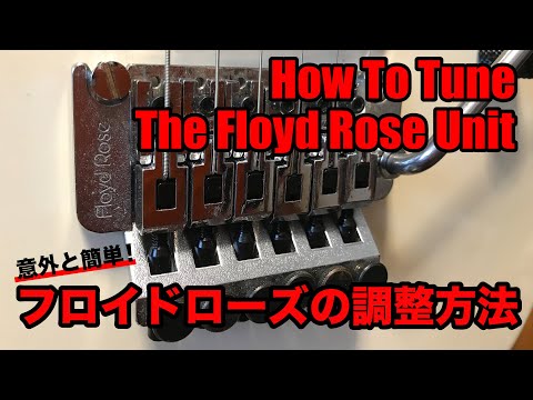 Floyd Rose フロイドローズ ブリッジ Amazon.co.jp: Floyd Rose スペシャルシリーズ ブリッジサドル