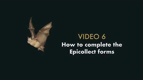 Video 6: Completing EpiCollect forms