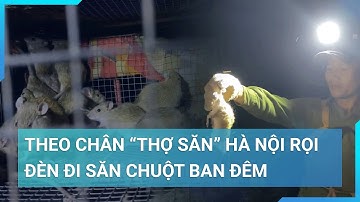 Đi săn chuột đồng đêm cùng "cao thủ" Hà Nội: Kiếm hàng chục triệu đồng có khó?  | Cuộc sống 24h