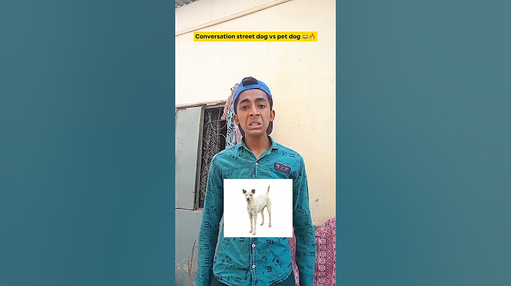 Conversation with street dog vs pet dog 🐕😂 #shorts #shortsfeed