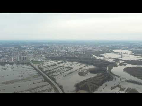 Video: Voronezh Bölgesi'nin Usmanka Nehri (Usman): fotoğraf, özellikler