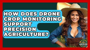 How Does Drone Crop Monitoring Support Precision Agriculture? - The World of Agriculture