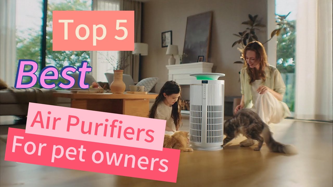 🐾 Top 5 Best Air Purifiers for Pet Owners 2026 - YouTube