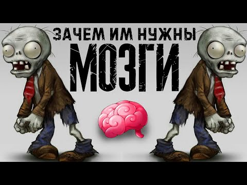 Видео: Зачем ЗОМБИ нужны МОЗГИ в Plants Vs Zombies | Кто такие зомби из Растения против зомби - ВСЕ ЗОМБИ