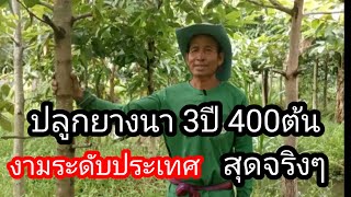 ปลูกยางนา 400ต้น 3ปี มีเห็ดอะไรบ้าง? การบำรุงและรักษา ต้องใส่ปุ๋ยด้วยไหม คลิปนี้มีคำตอบ