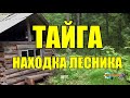 НАХОДКА ЛЕСНИКА  ТАЙГА