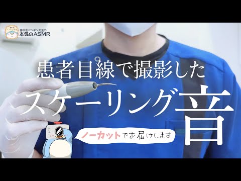 【ASMR 睡眠】本物の歯医者さんが歯石取り＊音質重視【歯石除去 スケーリング バイノーラル】dental dentist roleplay Roleplaying scaling