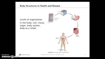 Chapter 3, Part 1 - Medical Terminology