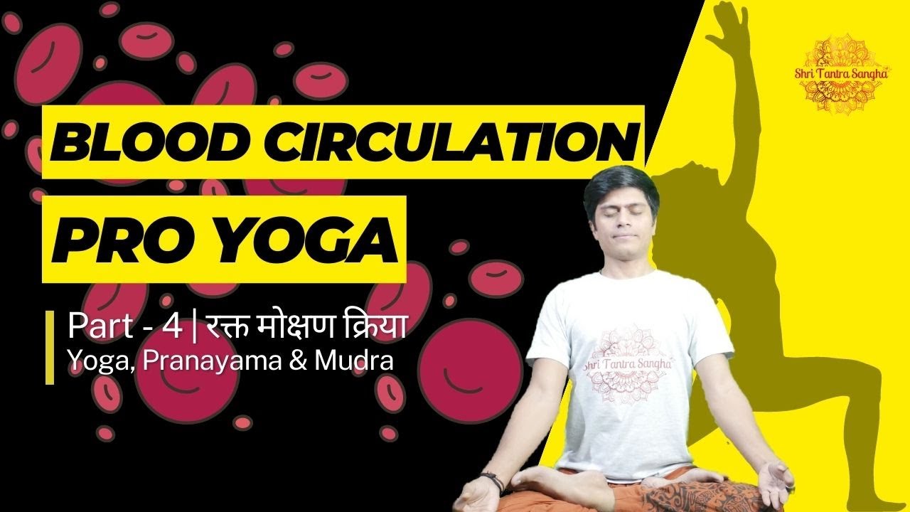 Blood Circulation Yoga For Beginners High Blood Pressure Yoga blood-circulation-yoga-for-beginners-high-blood-pressure-yoga