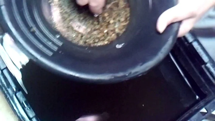 Lori panning 4 2 grams gold 001