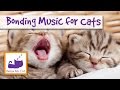 Music for Cats that Improves Human-Animal Relationships and Reduces Protesting Behaviour