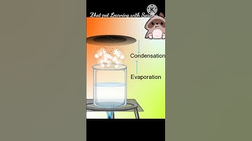 Condensation process #shorts #ytshorts #learning #viralshorts