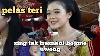 pelas teri (sing tak tresnani bojone uwong) story wa