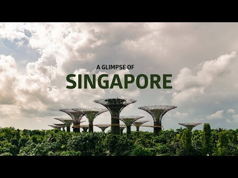 A glimpse of Singapore