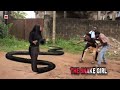 THE SNAKE GIRL AND MAGIC CAP (Funnybros, wwe, football, Animal, macaroni,obafemi, roman reigns,