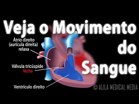 Vídeo: Quando os ventrículos contraem o sangue é bombeado?