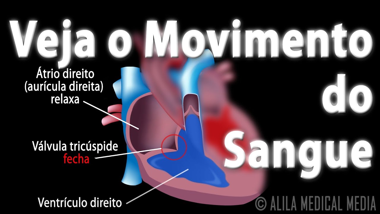 Trajeto Do Fluxo Sanguíneo Pelo Coração Animação Alila Medical Media