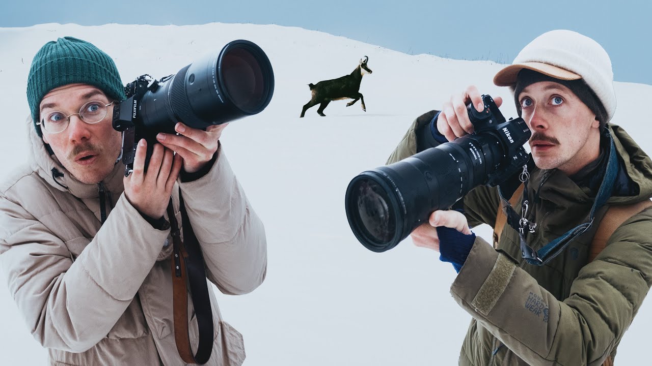 24h pour devenir photographe animalier avec Jérémie Villet