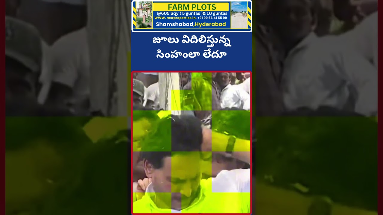 జూలు విదిలిస్తున్న సింహంలా లేదూ |Dhruva tv