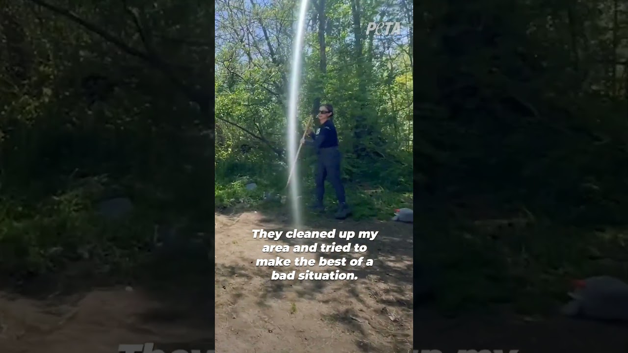 Coco Gets a Doghouse