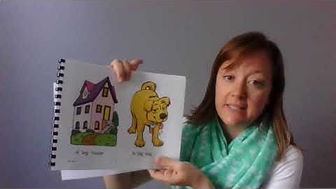 The BIG book  Labeling pictures with AAC support