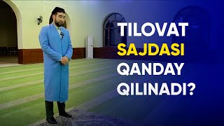 Tilovat sajdasi qanday qilinadi? | Ahrorjon Abdulvohid | #tilovat #sajda #namoz