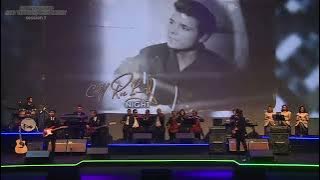 WONDERFUL LAND - THE SHADOWS (Cover)